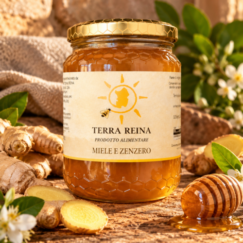 zenzero MIX MIELE ZENZERO 450gr